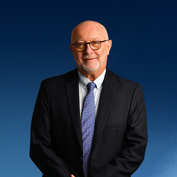 Board of Directors Our Company Mauritius